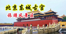 96xxxx操逼中国北京-东城古宫旅游风景区